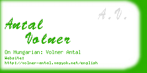 antal volner business card